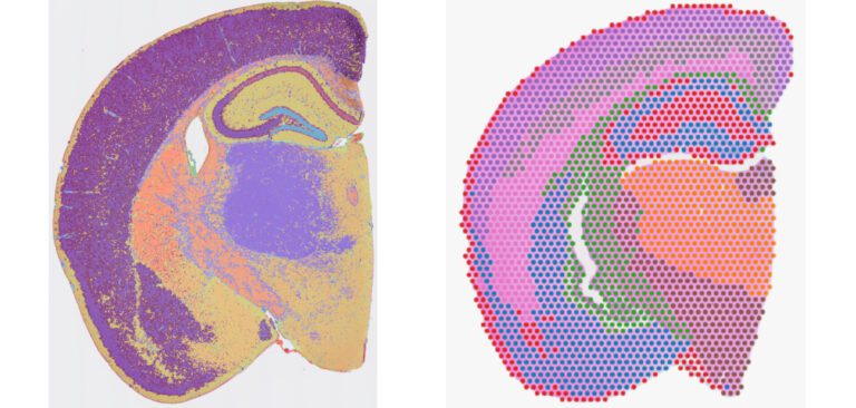 Single Cell Sequencing | Singulomics Corporation
