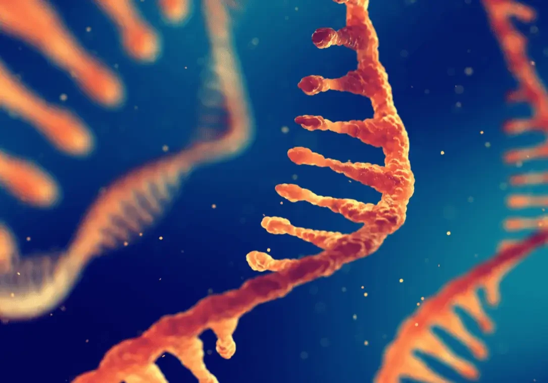 Close-up of RNA strands with detailed molecular structure.